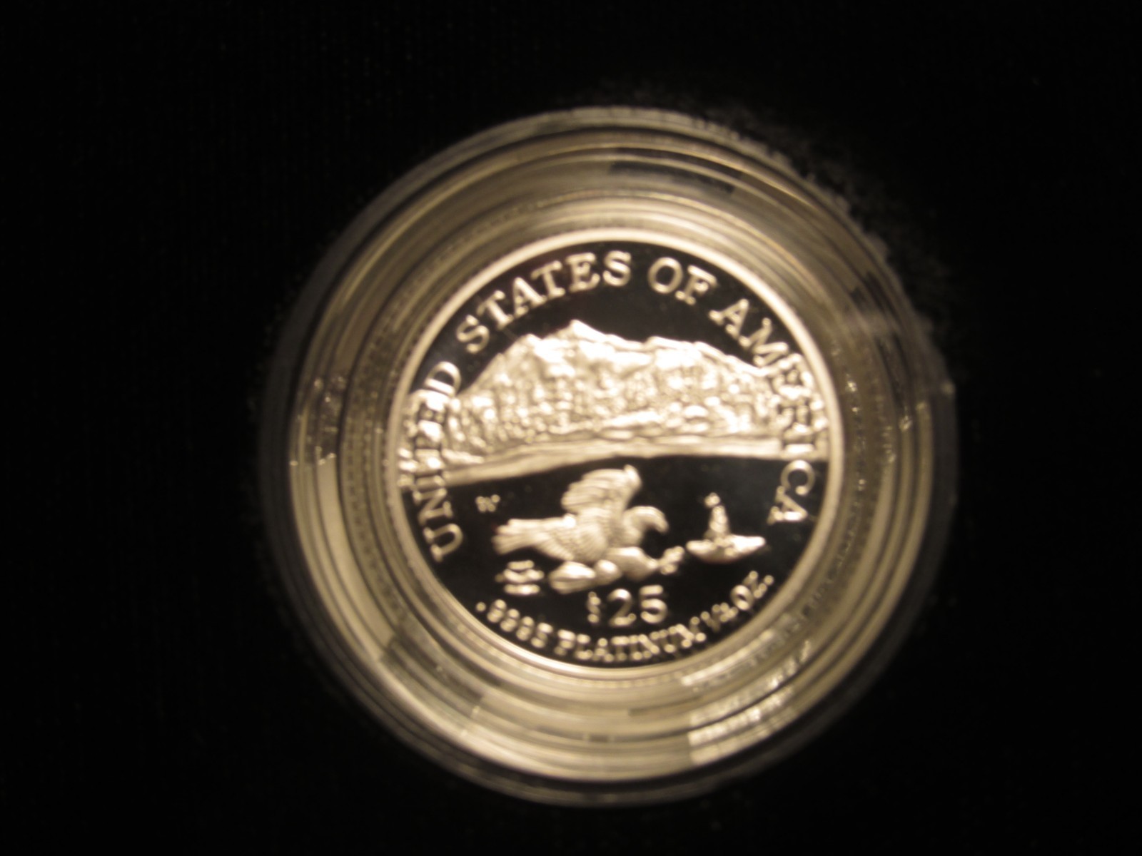 2002-W $25 PLATINUM EAGLE 1/4 Oz. quarter ounce in original mint packaging.