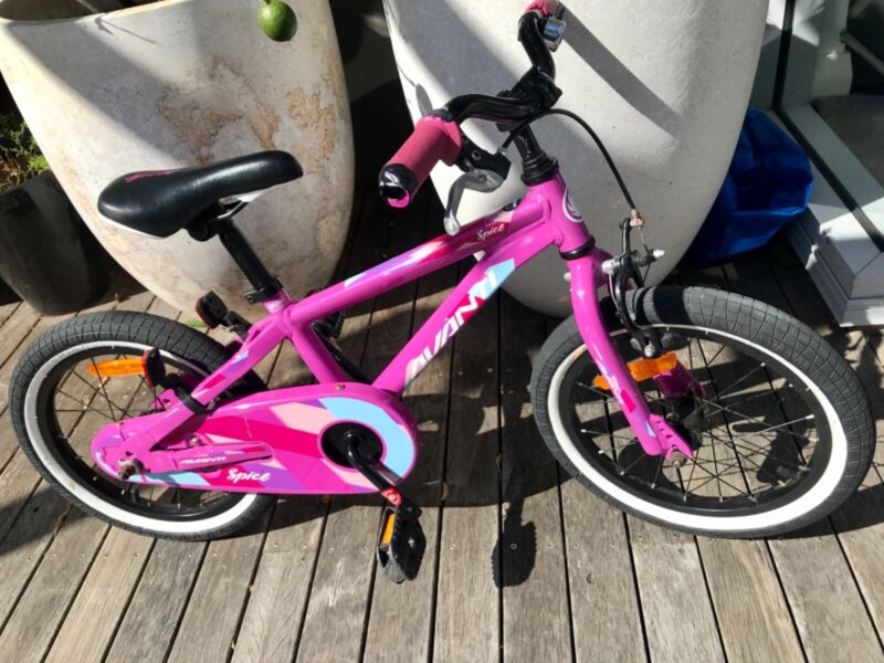 avanti 16 inch bike
