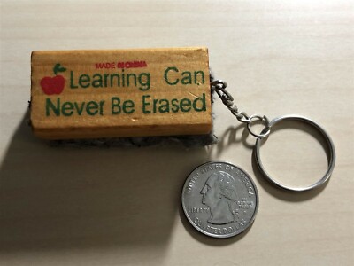Learning Can Never Be Erased Teacher Mini Eraser Keychain Key Ring #37610