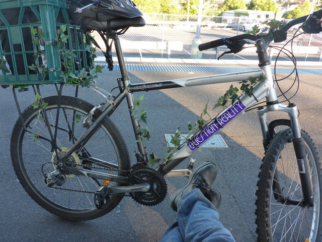 gumtree mens mountain bike