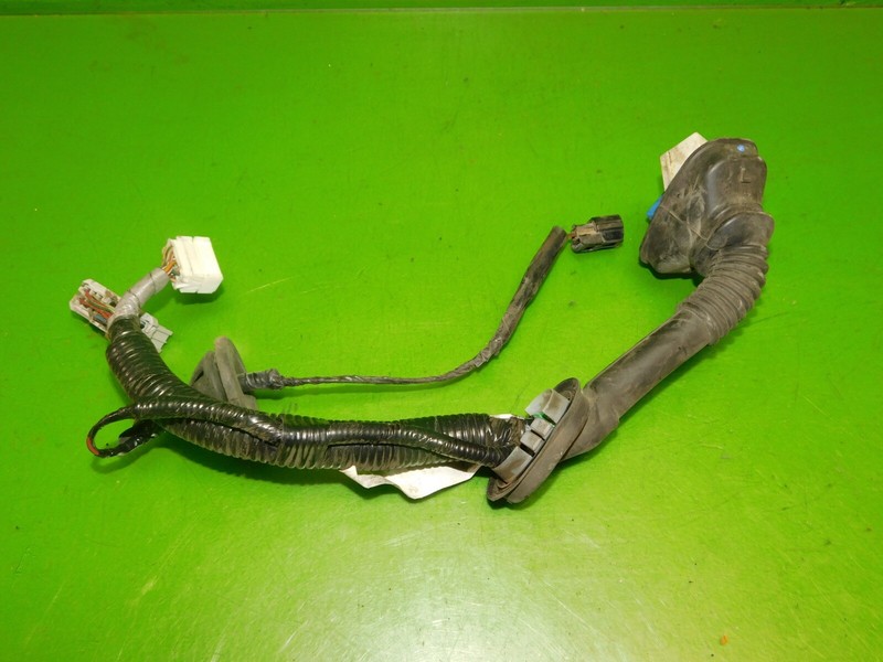 Picture 2