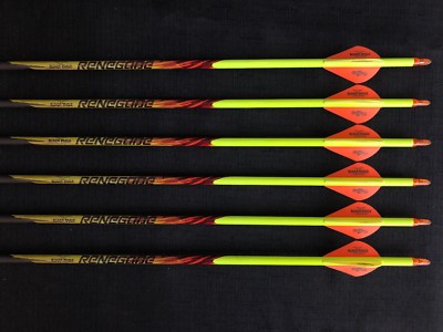 Black Eagle Renegade 250 .005 17/64'' Fletched/Crested Arrows 1/2 Dozen BRAND NEW