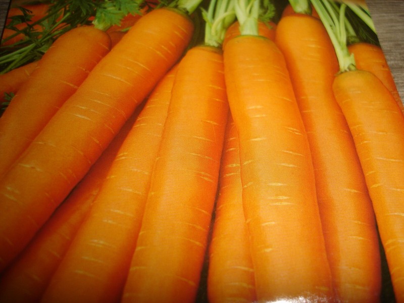 1000 Graines De Carotte Nantaise MÃ©Thode Bio