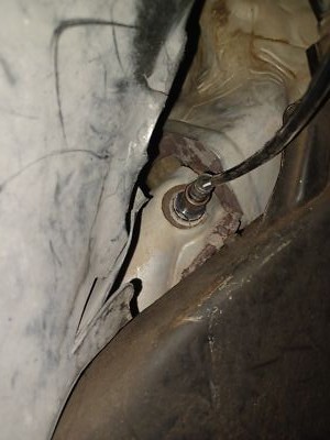 Artikelfoto(s) von einem verifizierten Käufer