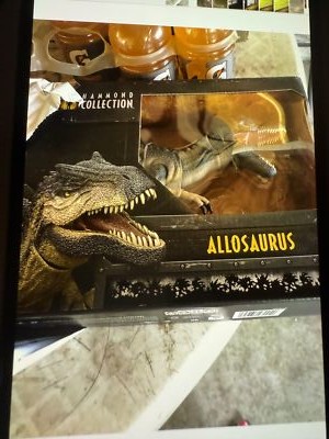 Foto dell'oggetto di un acquirente verificato