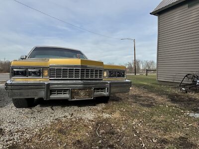 Foto dell'oggetto di un acquirente verificato