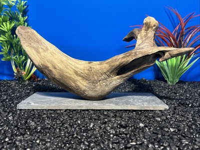 Ready To Use Fish Aquarium Driftwood Aquatic Wood Low Tannins Discus & Pleco