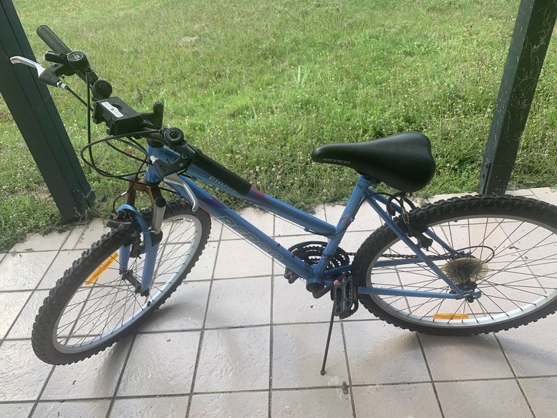 gumtree ladies mountain bike
