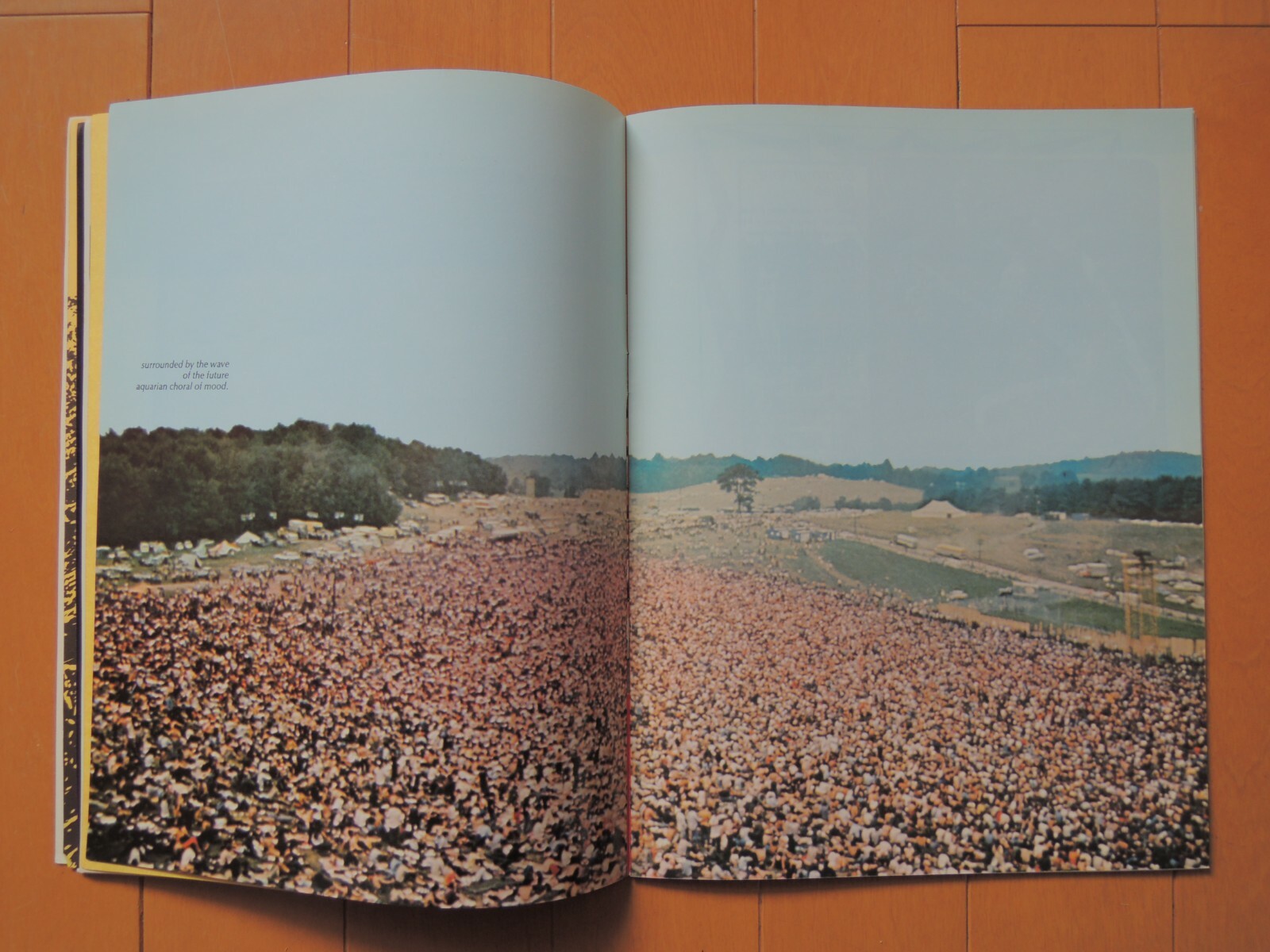 wood stock 3DAYS OF PEACE & MUSIC ビデオ Amazon.com: Woodstock: 3 Days of Peace & Music : Wadleigh