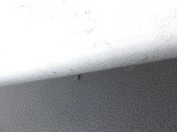 VW Touran II 5T 15-21 Türverkleidung Türpappe Rechts Hinten Titanschwarz VW Touran II 5T 15-21 24.10.2016... Vorschau 5