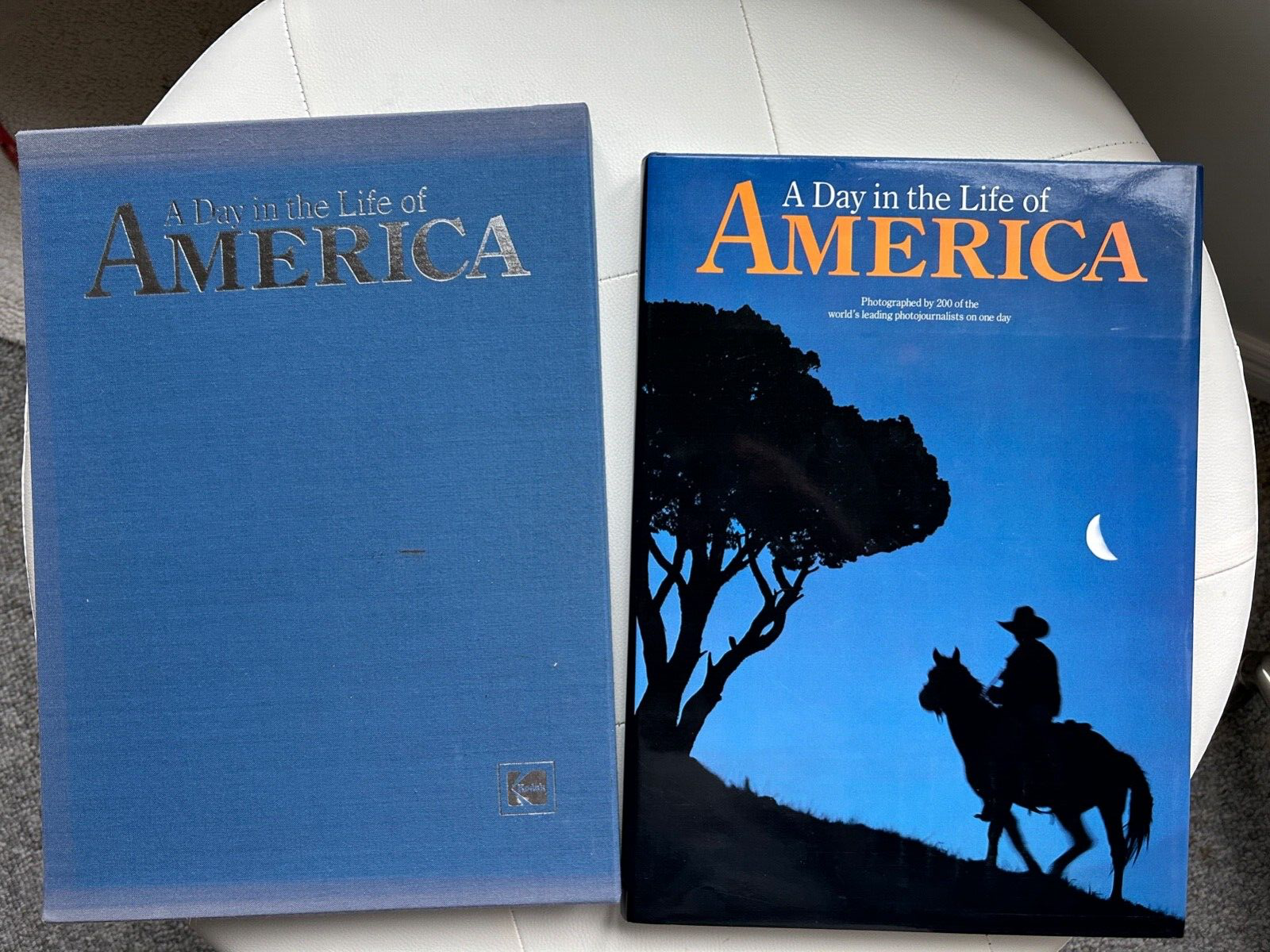 A Day in the Life of America Kodak 9780002177344| eBay