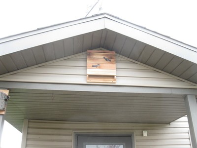 4 Bat House Nesting Box Special Sale All Natural Red Cedar Mosquito Control