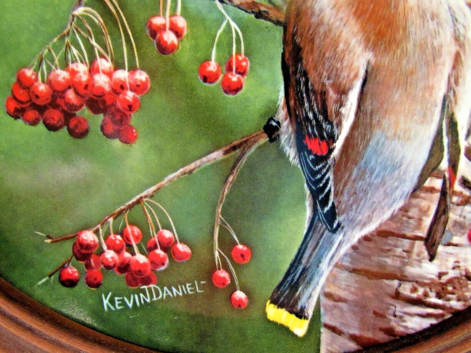 1987 The Cedar Waxwing Collector Plate Knowles by Kevin Daniel Framed #918F