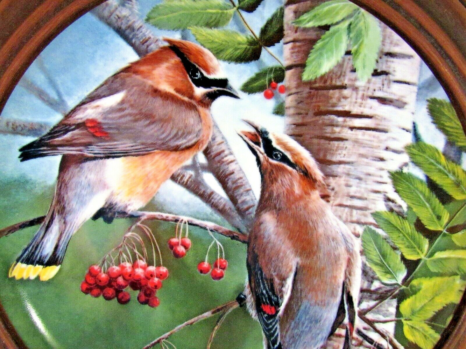 1987 The Cedar Waxwing Collector Plate Knowles by Kevin Daniel Framed #918F