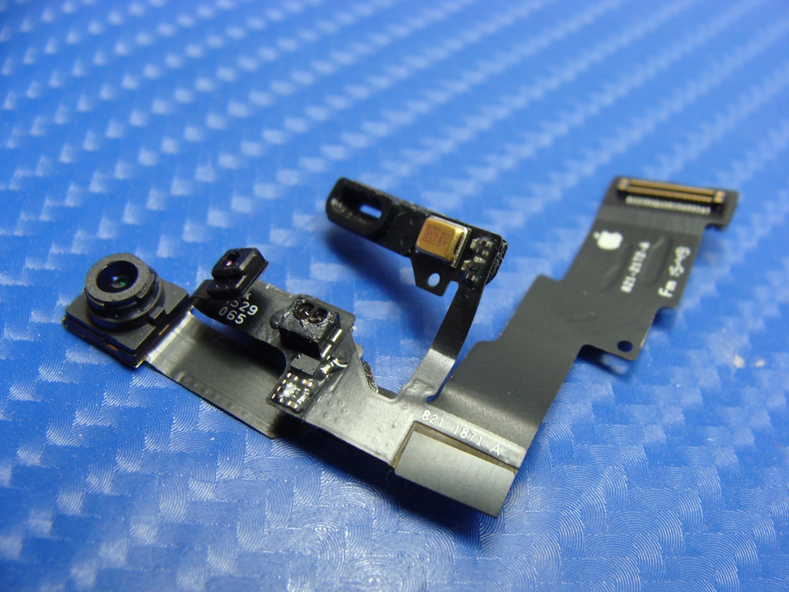 Apple - こば SPCB90A20_1__91582.1655400827.