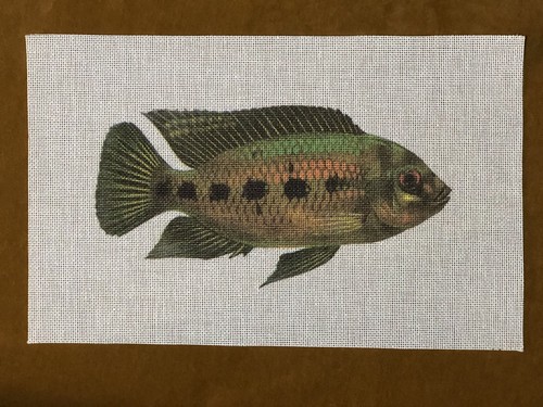 Hand Painted Needlepoint Canvas Mesh Fish Green Black Orange Camoflauge New