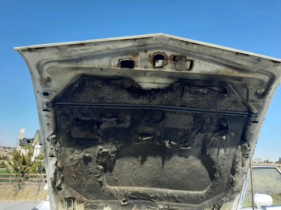 image 1 of other
