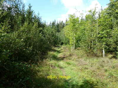 Photo 6x4 Bridleway through Whitter's Copse Henley Common  c2011