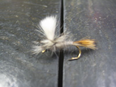 6 Size 18 RIO GRANDE KINGS PREMIUM LIGAS FLY FISHING FLIES