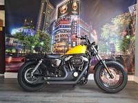 2012 Harley-Davidson SPORTSTER FORTY-EIGHT XL 1200X Forty-Eight Solid Colour (12