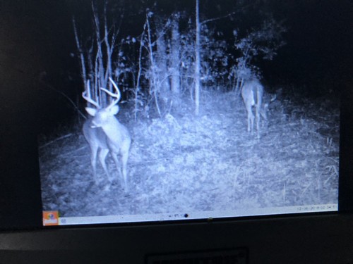 Same As The High Dollar Dirt Bag - It Is 5 Pounds w/ NO EXPENSIVE PACKAGING