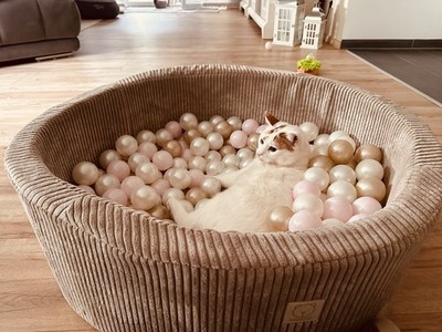 Artikelfoto(s) von einem verifizierten Käufer