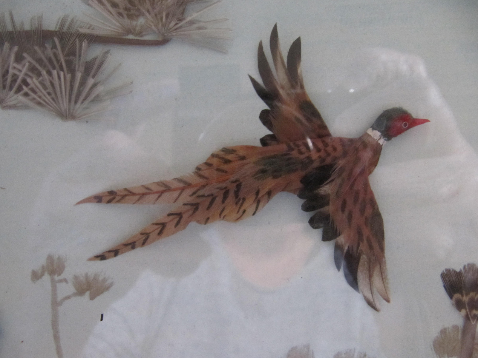 Antique Oriental Chinese 3D Box Framed Feather Picture A Pair of Pheasant Birds