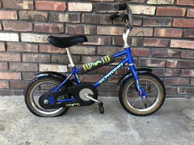 schwinn tiger 12 inch bike