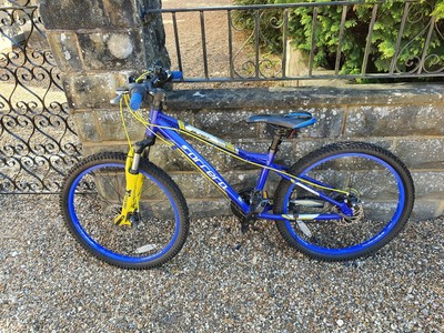 blue and yellow carrera blast