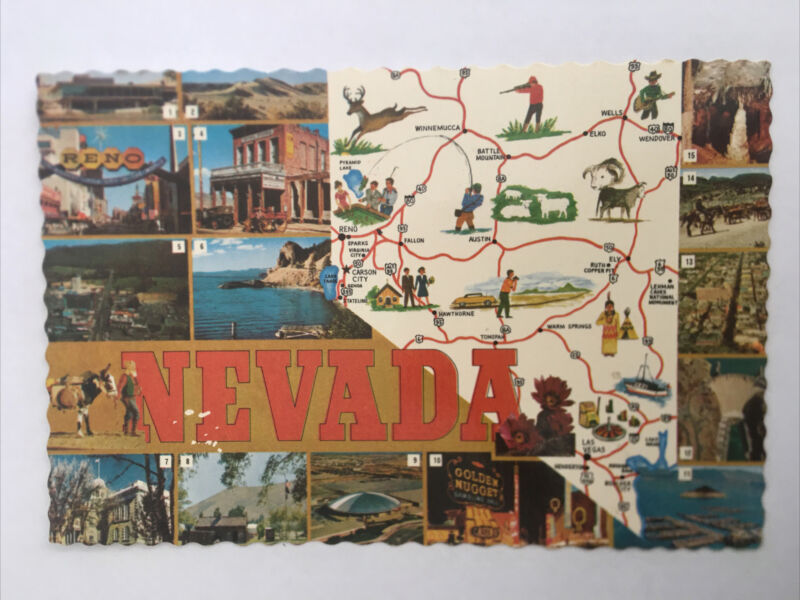 Nevada Vintage Postcard