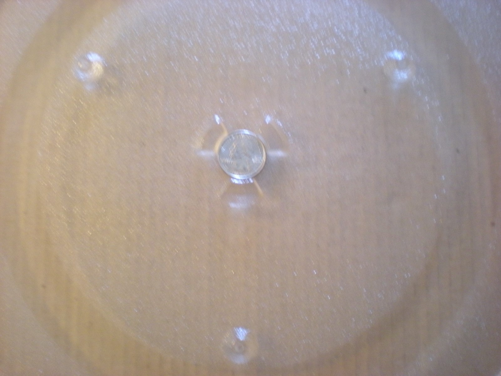 Microwave Turntable Plate* 14 1/4