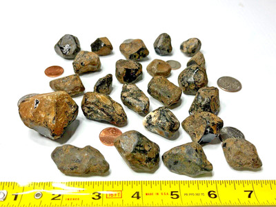 1 Pound Oregon Apache Tears Large/Small Black Obsidian Natural Translucent Rough