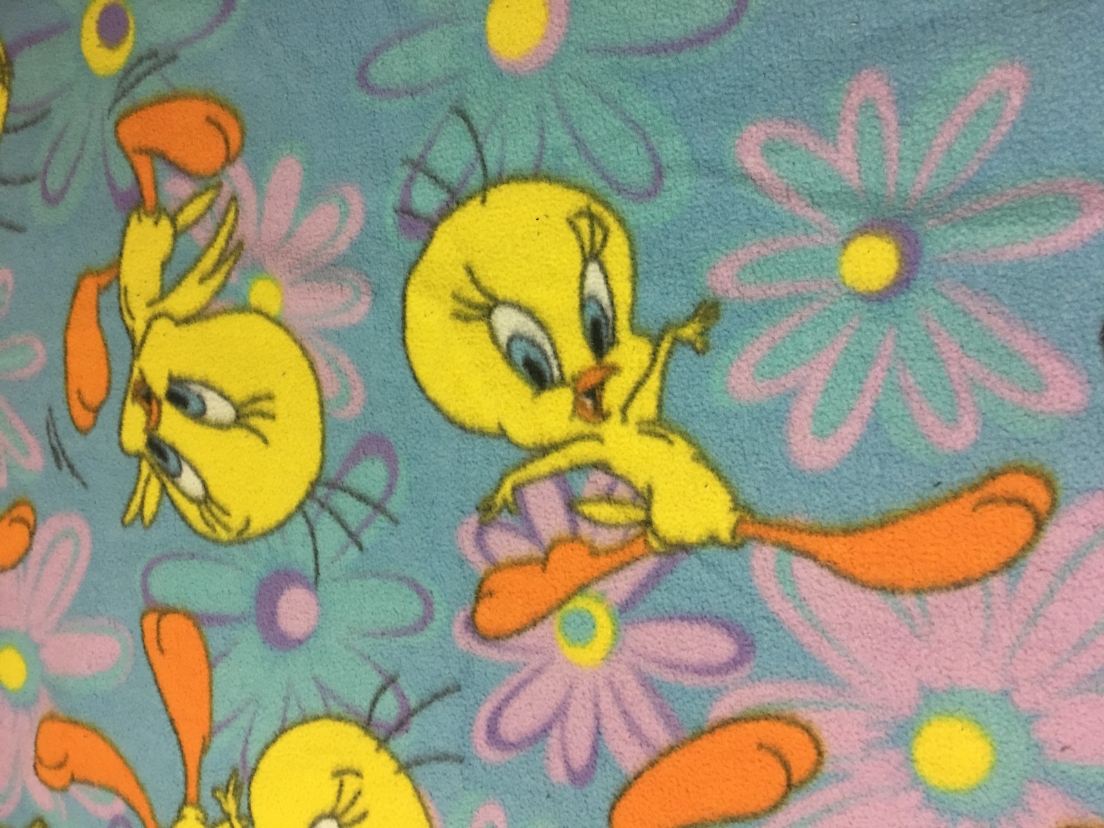 Warner Bros-Looney Tunes 2000 Multi Color-Tweety Bird Polyester Blanket-45Wx59L