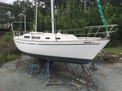 Lippincott 30'