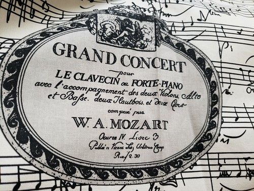 GASTON  / BRUNSCHWIG Fabric Remnant - MOZART - PENTAGRAMA - 56x 44 - SPAIN  $134