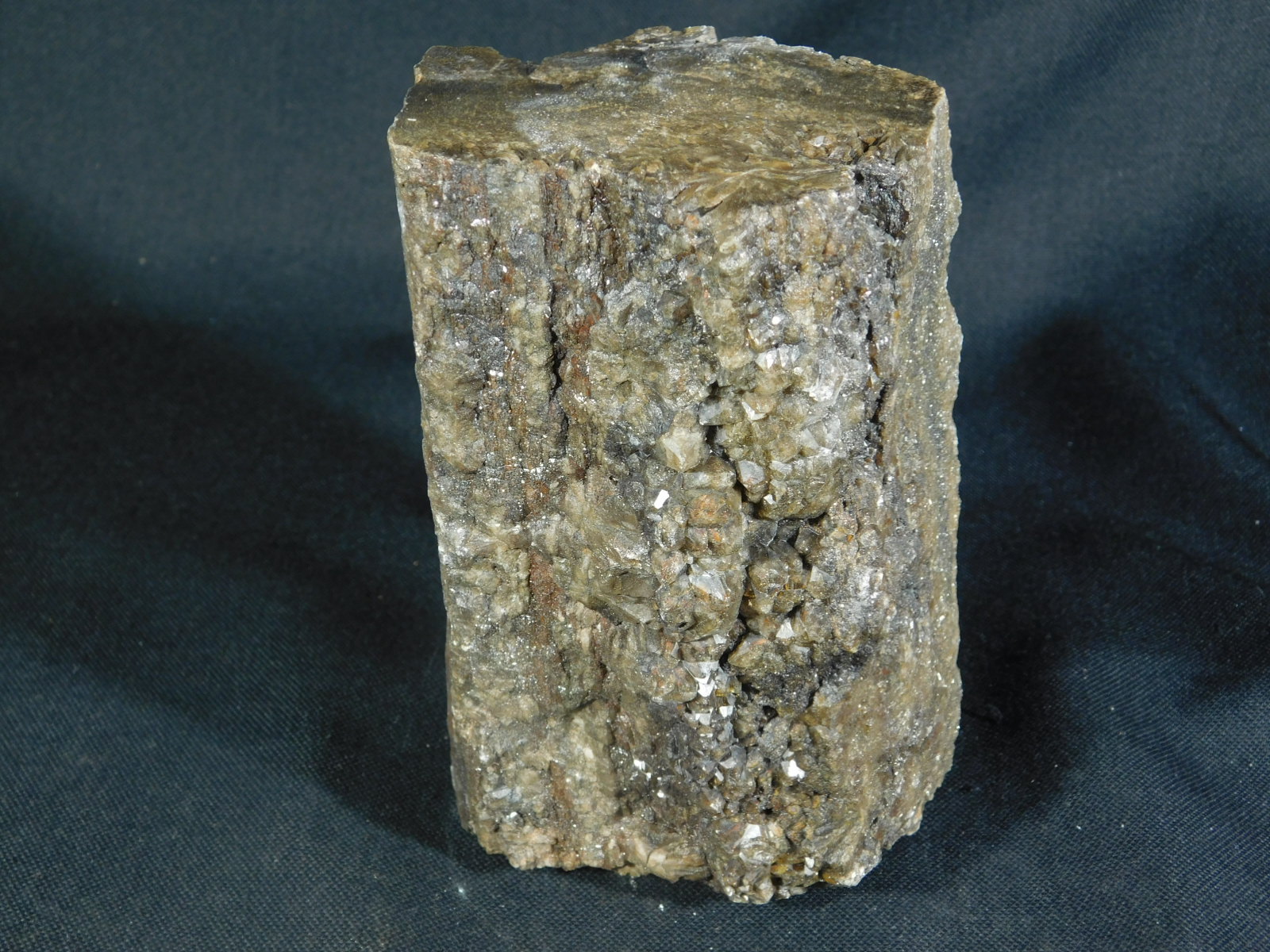 A BIG! Petrified Wood Fossil With Smoky Quartz CRYSTALS! From Utah! 1988gr e