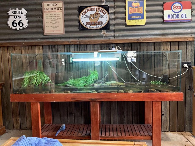 6 foot Reptile tank enclosure | Pet Products | Gumtree Australia