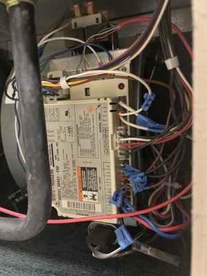 Fotos del artículo de un comprador verificado
