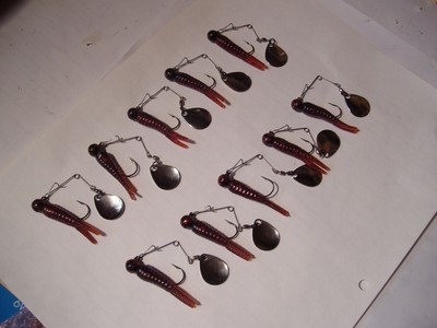Mixed Five Color Card For Different Water Conditions Beetle Spin Card Of Ten