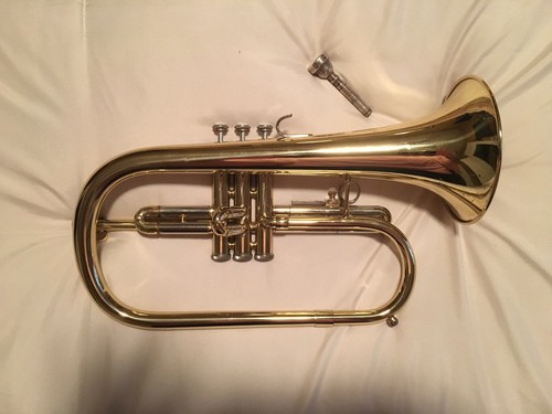 Blessing Flugelhorn and Case