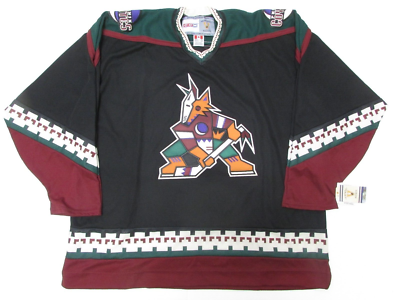 phoenix coyotes kachina