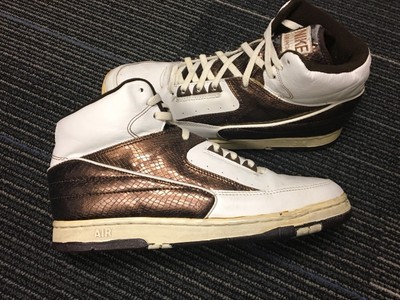 nike air python jordan 2