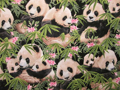 PANDA BEAR BABY PANDAS FLOWERS JUNGLE COTTON FABRIC FQ 