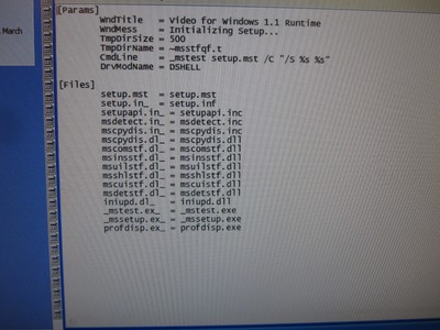 DIAMOND RUNTIME VIDEO FOR WINDOWS VERSION 1.1E 1994