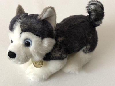 miyoni tots husky