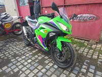 2014 Kawasaki NINJA 300 EX300ADF Petrol Manual