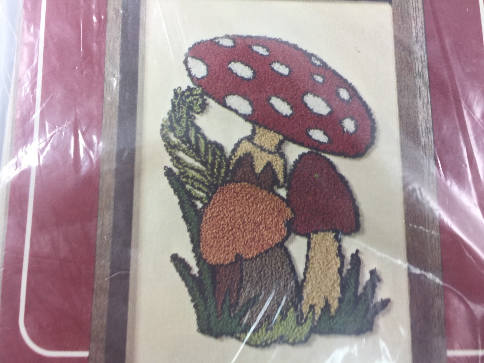 Red Top Mushroom Punch Needle Kit Loop Embroidery Kit Rush N Punch