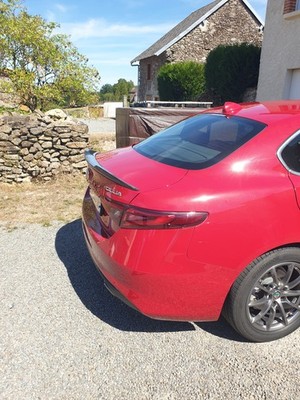 Foto dell'oggetto di un acquirente verificato