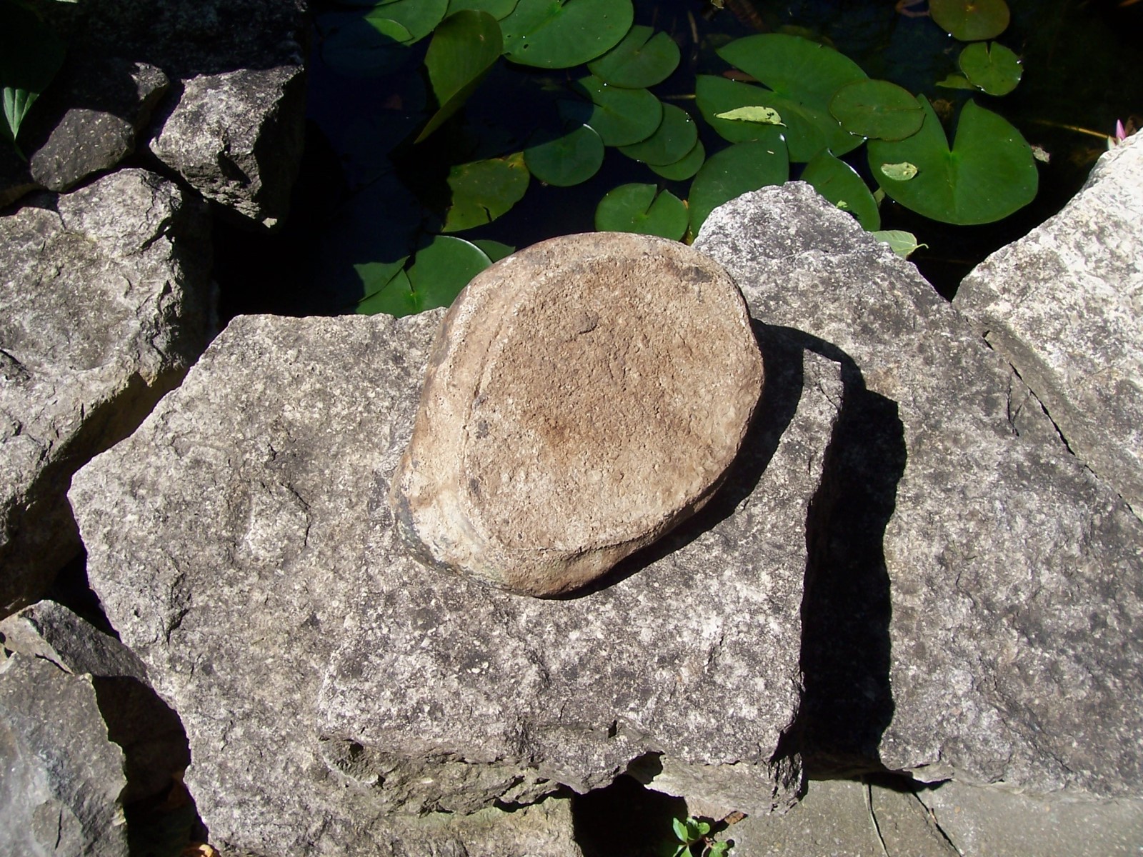 Vintage Stepping Stone/Marker For Grandparents Garden
