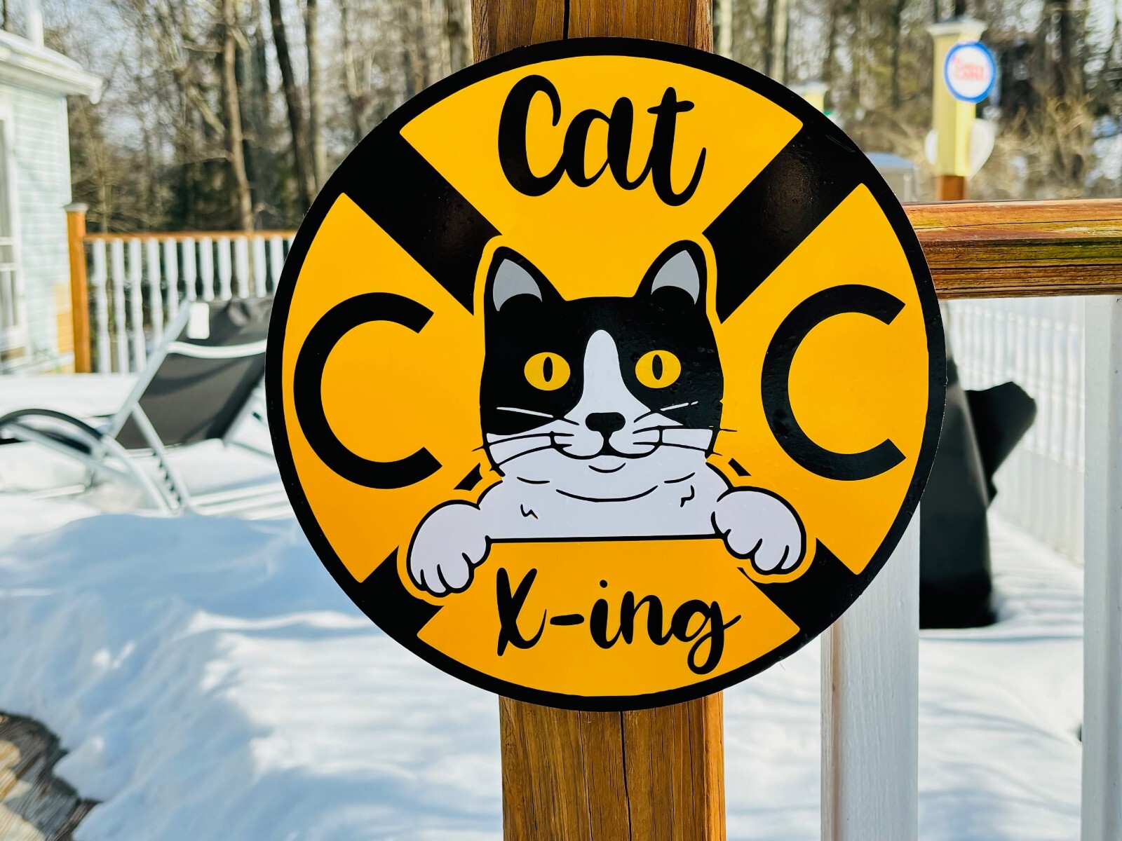 TWO Bianchi Bicycles Vinyl Decals Many Sizes/Colors Buy 2 Get 1 FREE